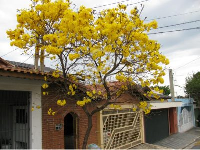 Sobrado, 3 quartos, 250 m² - Foto 1