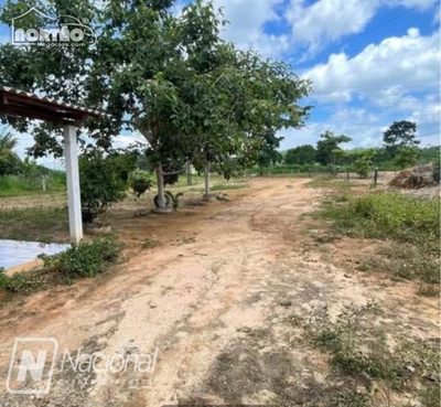 Casa, 3 quartos, 6391 m² - Foto 3