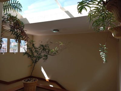 Casa, 5 quartos, 615 m² - Foto 5