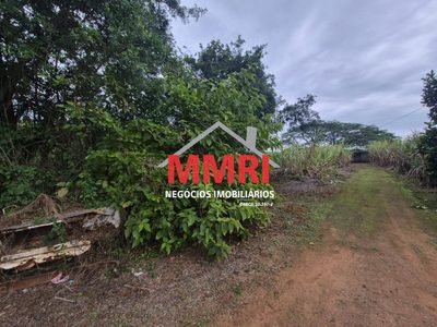 Terreno, 4 hectares - Foto 4