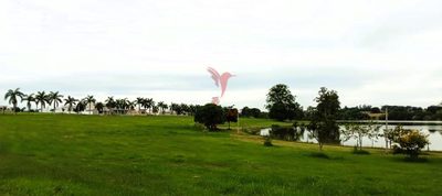 Terreno, 539 m² - Foto 5