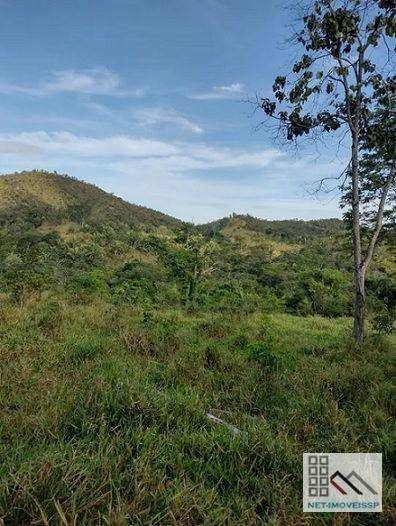 Fazenda, 143 hectares - Foto 2