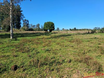 Chácara, 10 hectares - Foto 1