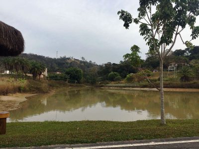 Terreno, 3186 m² - Foto 4