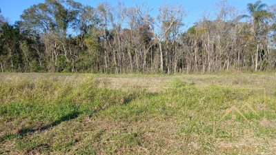 Terreno, 1500 m² - Foto 3