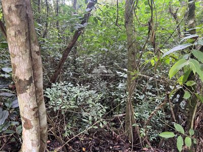 Terreno, 559 m² - Foto 4