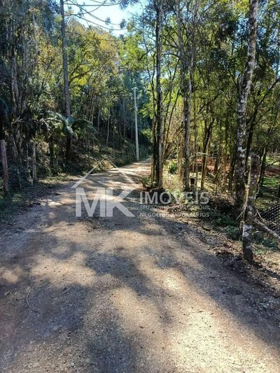 Chácara, 2 hectares - Foto 3