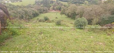 Fazenda, 2 hectares - Foto 2