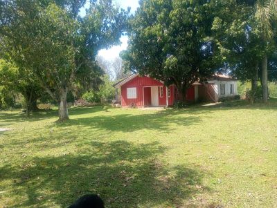 Sítio, 3 quartos, 299 m² - Foto 1