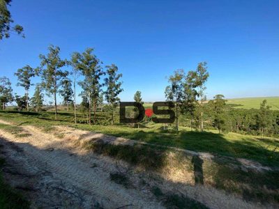 Sítio, 30 hectares - Foto 4