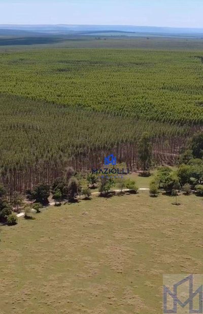 Fazenda, 148 m² - Foto 4