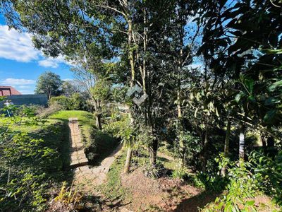 Terreno - Foto 2