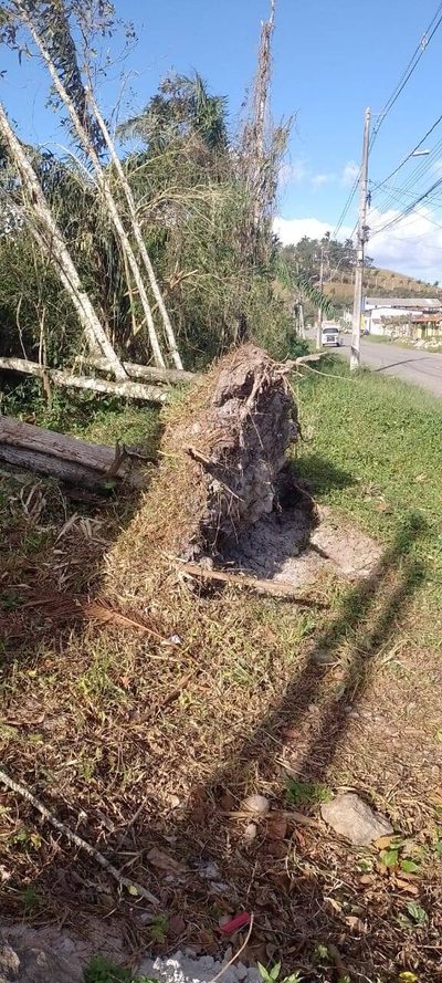 Terreno, 490 m² - Foto 5