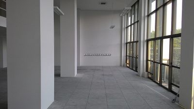 Apartamento, 264 m² - Foto 3