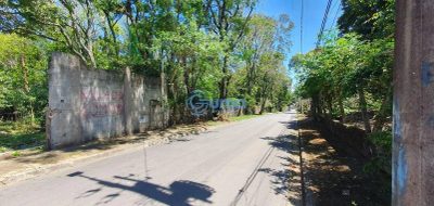 Terreno, 2000 m² - Foto 3