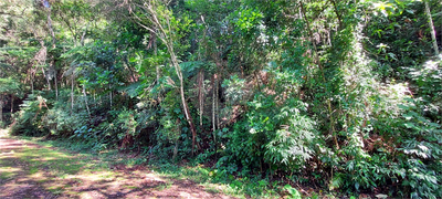 Casa de Condomínio - Foto 2