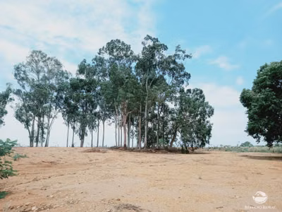 Fazenda, 97 hectares - Foto 2