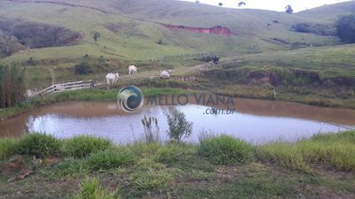 Sítio, 2 quartos, 80000 m² - Foto 5