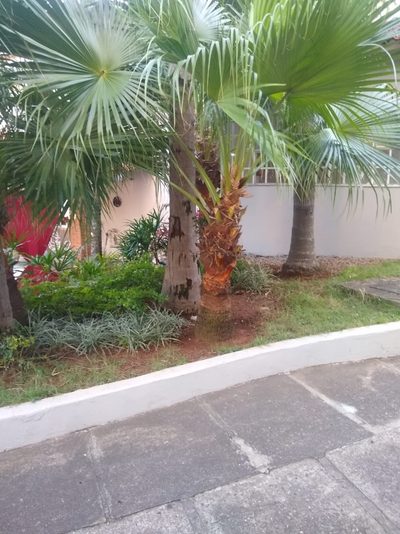 Apartamento, 3 quartos, 73 m² - Foto 2