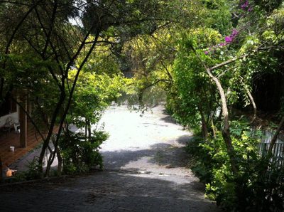 Casa, 3 quartos, 700 m² - Foto 4