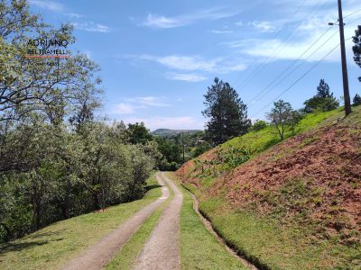 Chácara, 8 quartos, 4 hectares - Foto 3