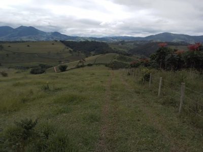 Fazenda, 130 hectares - Foto 2