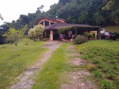 Chácara, 6 quartos, 4 hectares - Foto 2
