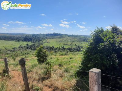 Terreno, 4162 m² - Foto 5
