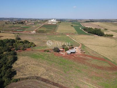 Sítio, 21 hectares - Foto 4