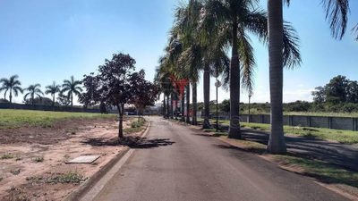 Terreno, 539 m² - Foto 2