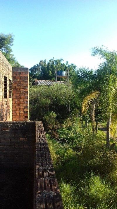 Sítio, 2999 m² - Foto 5