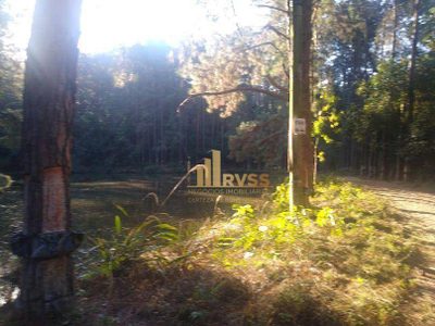 Terreno, 70 hectares - Foto 3