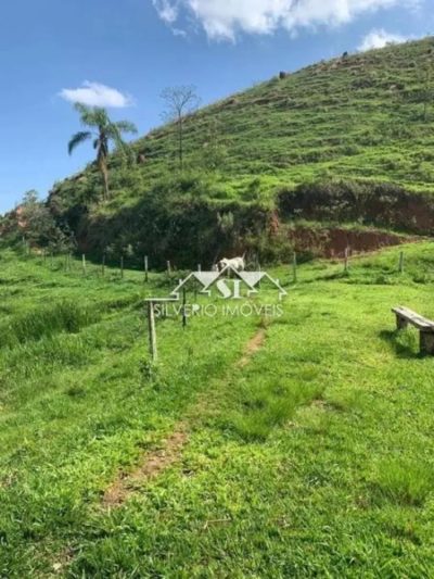 Fazenda, 55 hectares - Foto 4