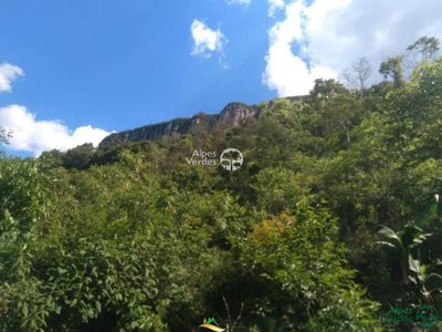 Sítio, 2 quartos, 58000 m² - Foto 5