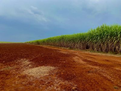 Fazenda, 34 m² - Foto 2