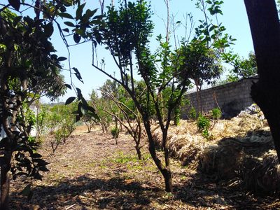 Terreno, 1015 m² - Foto 2