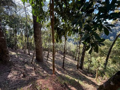 Terreno, 1210 m² - Foto 4