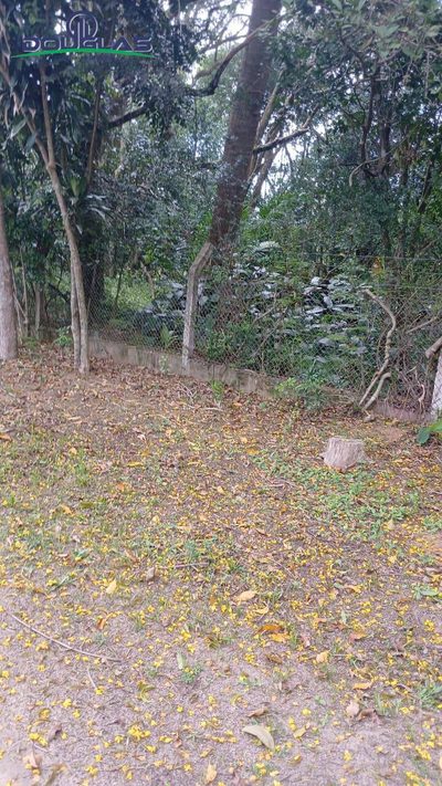 Terreno, 2400 m² - Foto 5