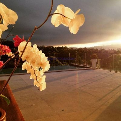 Casa, 5 quartos, 500 m² - Foto 5