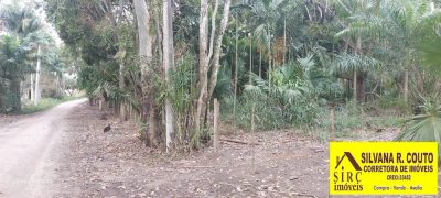 Terreno, 8000 m² - Foto 3