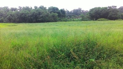 Terreno, 340 m² - Foto 5