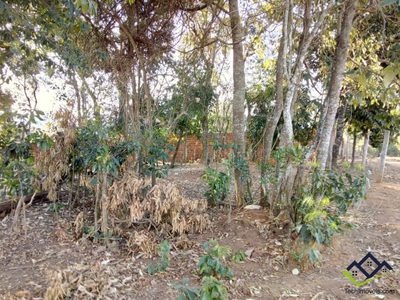 Terreno, 1125 m² - Foto 4