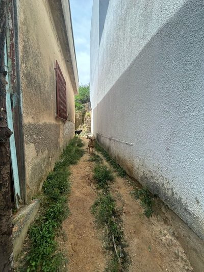 Casa, 3 quartos, 60 m² - Foto 2