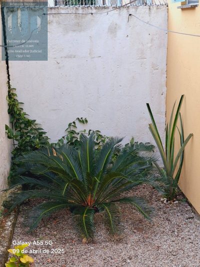 Apartamento, 2 quartos, 66 m² - Foto 2