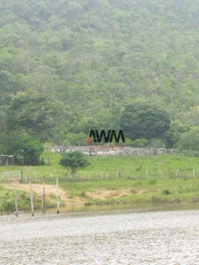 Fazenda, 697 hectares - Foto 1