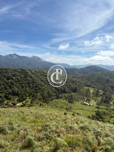 Terreno, 2 hectares - Foto 4
