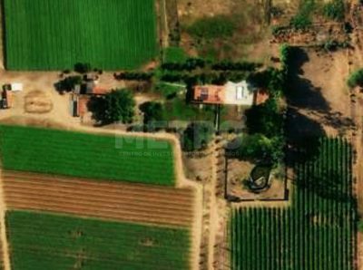 Fazenda - Foto 4