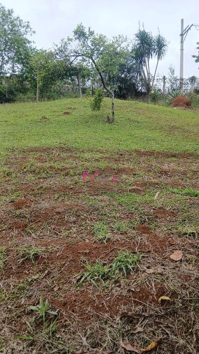 Terreno, 312 m² - Foto 1