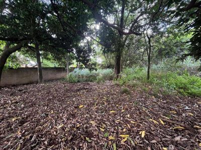 Terreno, 2000 m² - Foto 4