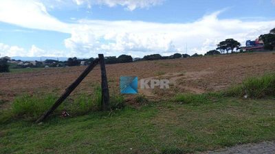 Terreno, 5 hectares - Foto 3